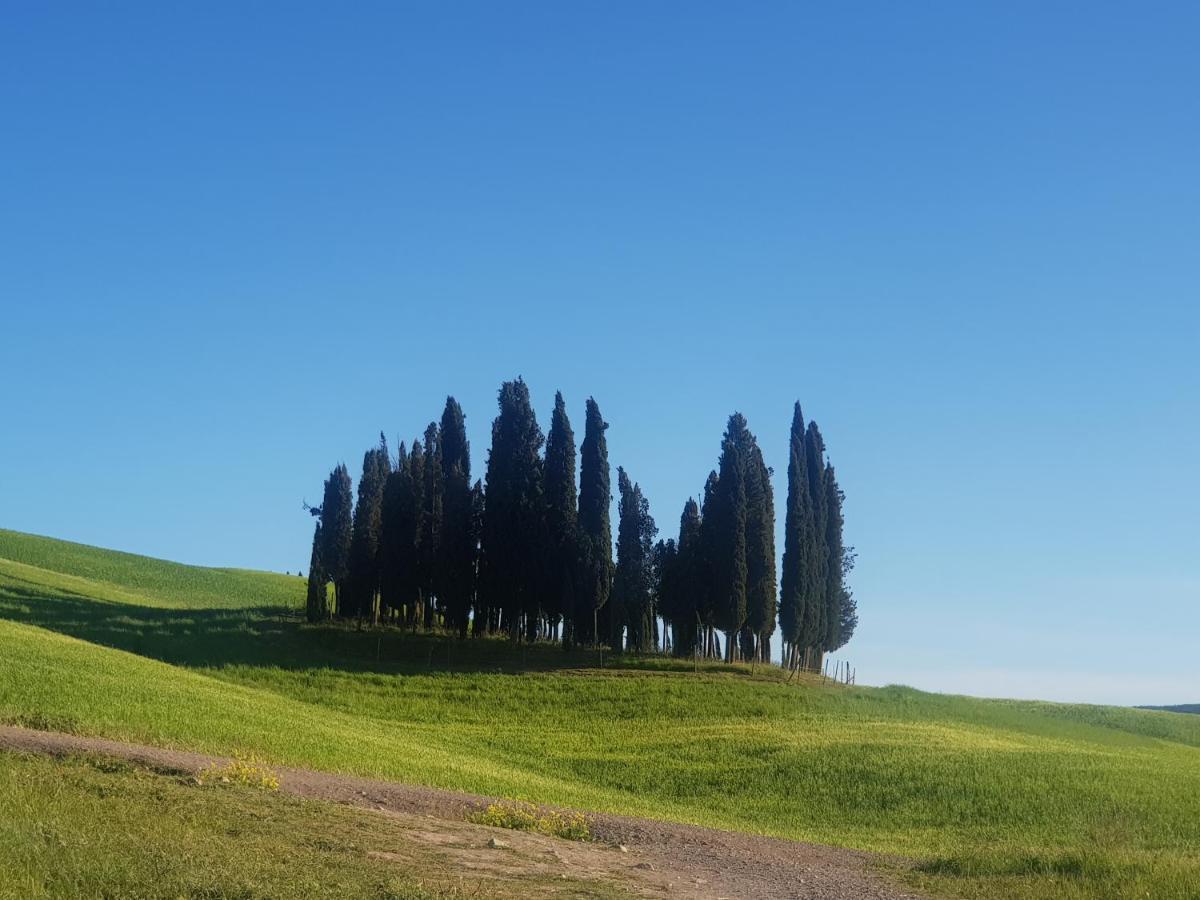 Palazzetto Del Pittore San Quirico d'Orcia Exterior photo