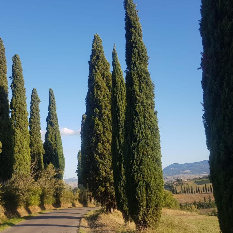 Palazzetto Del Pittore San Quirico d'Orcia Exterior photo